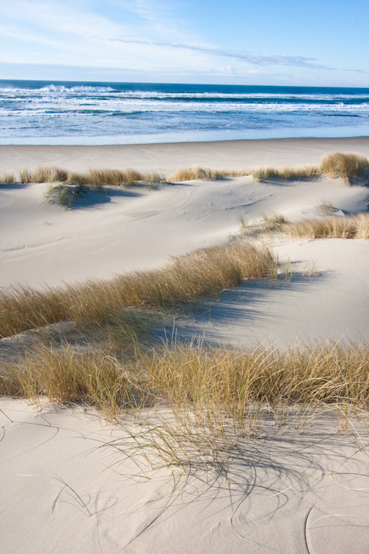 Dunes And Beach Grass